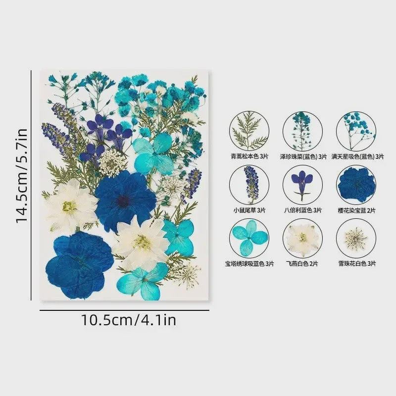 30 Stuks Gedroogde Persbloemen - Natuurlijke Bloemen & Bladeren voor Resin Art, Knutselen en Decoratie
