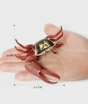 Educatieve Prehistorische Zeedieren Figuren Set: Baculite, Opabinia, Krab & Meer