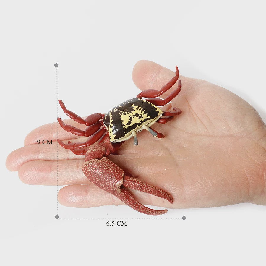 Educatieve Prehistorische Zeedieren Figuren Set: Baculite, Opabinia, Krab & Meer