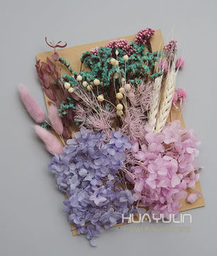 Set Gedroogde Bloemen & Hydrangea voor Ambacht & Decoratie