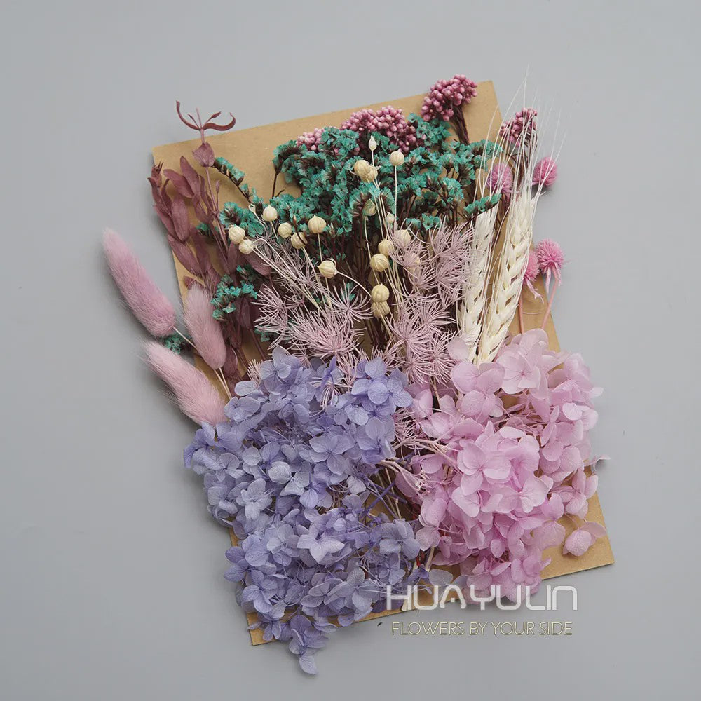 Set Gedroogde Bloemen & Hydrangea voor Ambacht & Decoratie