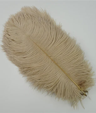 Set van 10 Gekleurde Struisvogelveren voor Knutselen, Decoratie en Feesten