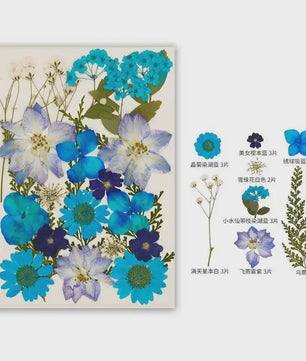 30 Stuks Gedroogde Persbloemen - Natuurlijke Bloemen & Bladeren voor Resin Art, Knutselen en Decoratie