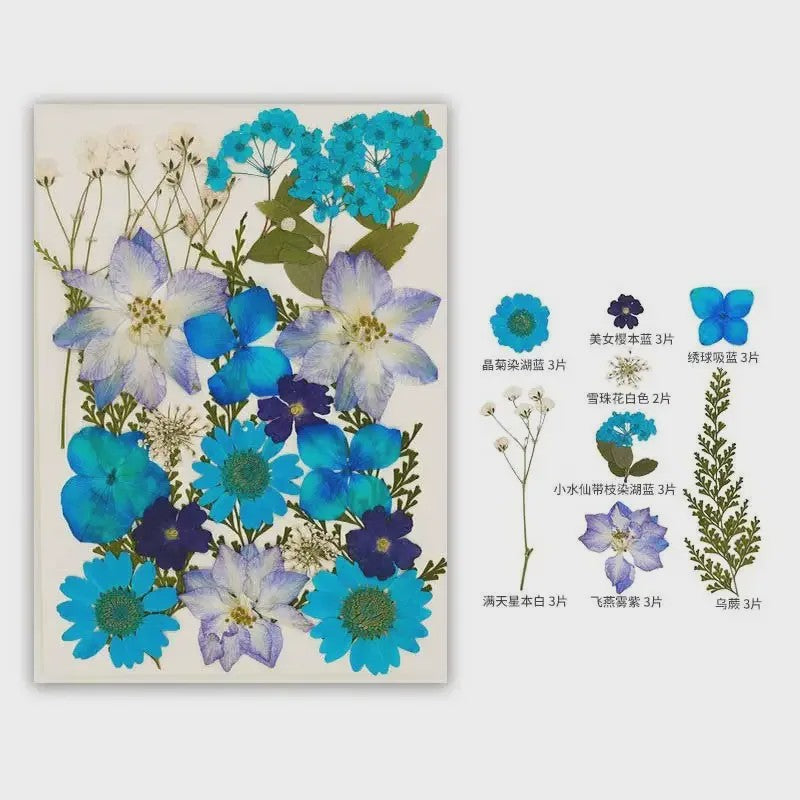 30 Stuks Gedroogde Persbloemen - Natuurlijke Bloemen & Bladeren voor Resin Art, Knutselen en Decoratie