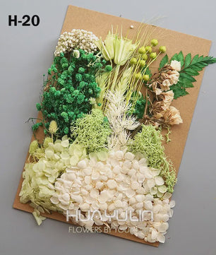 Set Gedroogde Bloemen & Hydrangea voor Ambacht & Decoratie