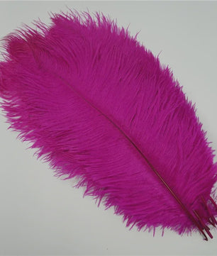 Set van 10 Gekleurde Struisvogelveren voor Knutselen, Decoratie en Feesten