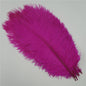 Set van 10 Gekleurde Struisvogelveren voor Knutselen, Decoratie en Feesten
