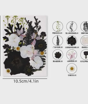Set Gedroogde Bloemen & Bladeren (16-19 Stuks) - Natuurlijk & Realistisch