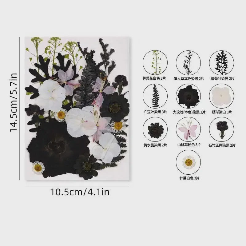 Set Gedroogde Bloemen & Bladeren (16-19 Stuks) - Natuurlijk & Realistisch