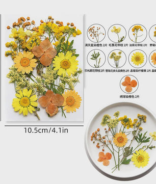 Set Gedroogde Bloemen & Bladeren (16-19 Stuks) - Natuurlijk & Realistisch