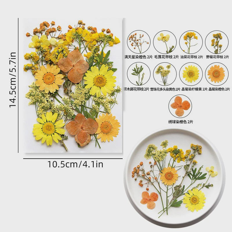 Set Gedroogde Bloemen & Bladeren (16-19 Stuks) - Natuurlijk & Realistisch