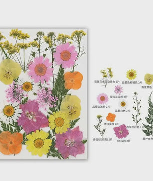 30 Stuks Gedroogde Persbloemen - Natuurlijke Bloemen & Bladeren voor Resin Art, Knutselen en Decoratie