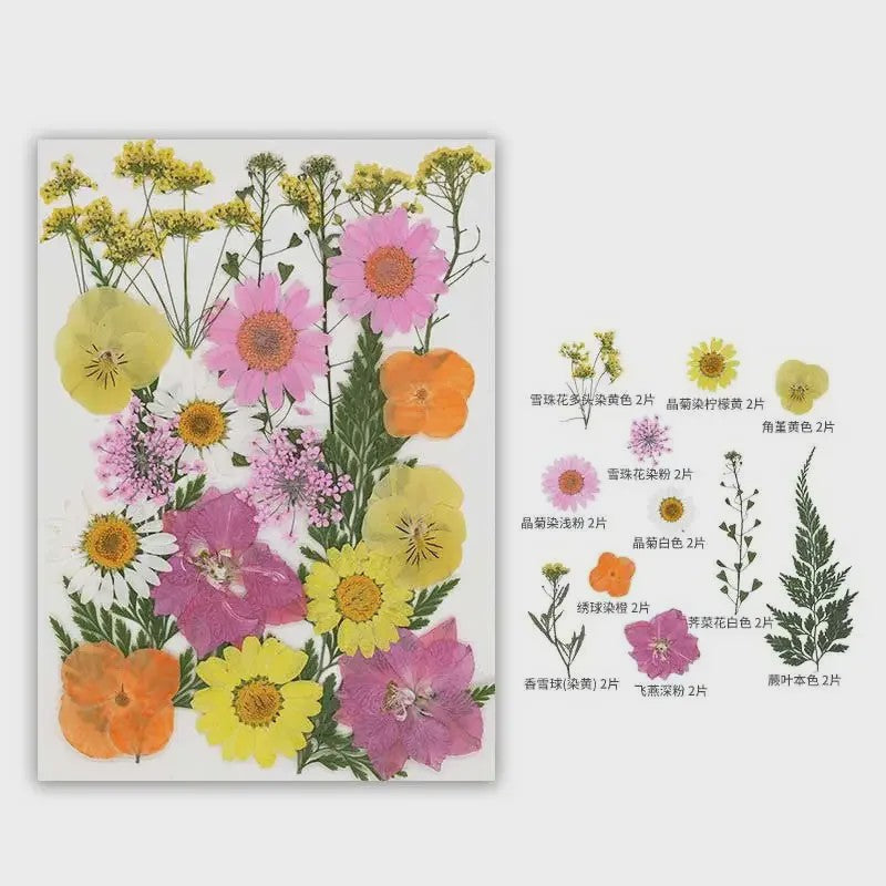 30 Stuks Gedroogde Persbloemen - Natuurlijke Bloemen & Bladeren voor Resin Art, Knutselen en Decoratie