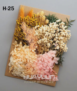 Set Gedroogde Bloemen & Hydrangea voor Ambacht & Decoratie