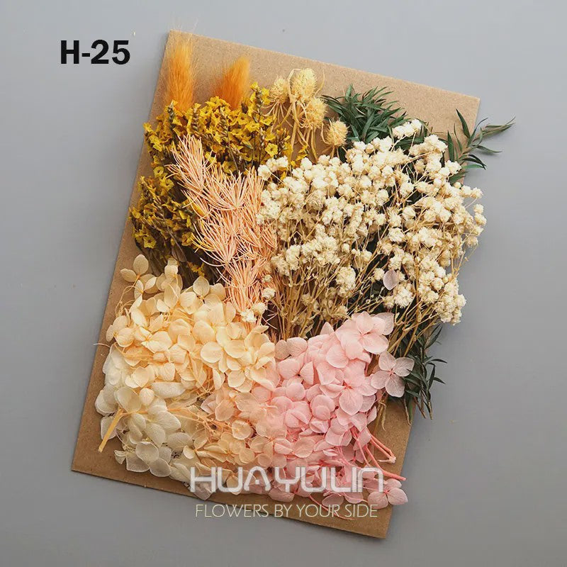 Set Gedroogde Bloemen & Hydrangea voor Ambacht & Decoratie