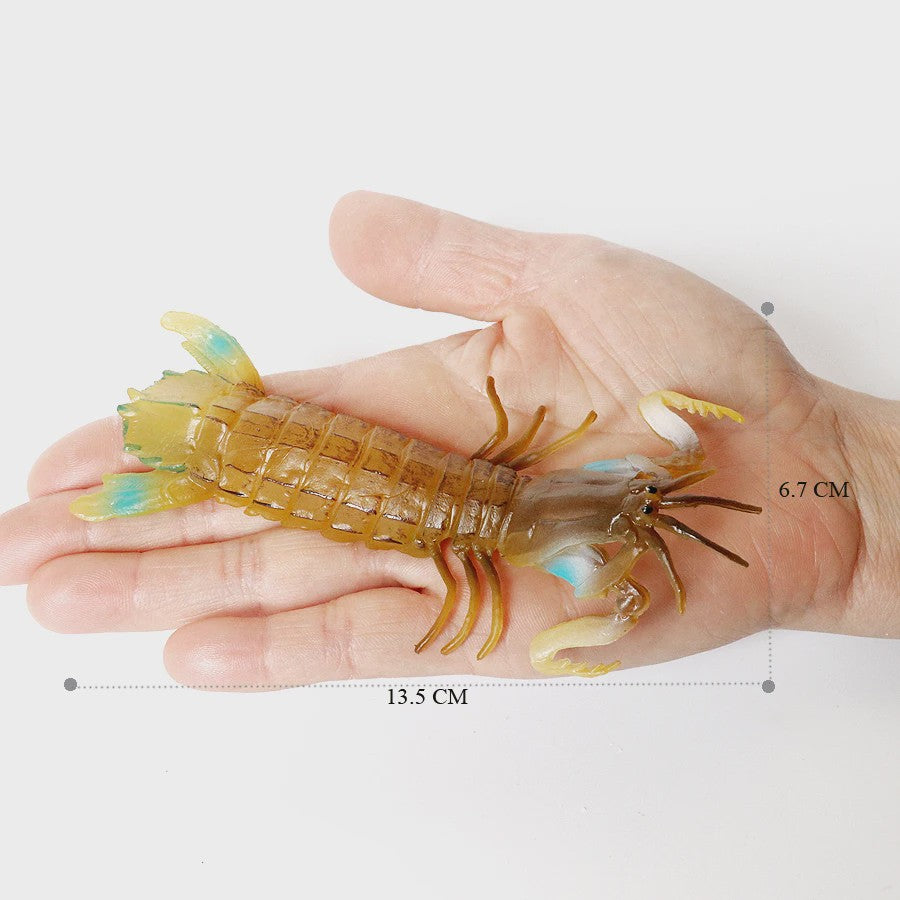 Educatieve Prehistorische Zeedieren Figuren Set: Baculite, Opabinia, Krab & Meer