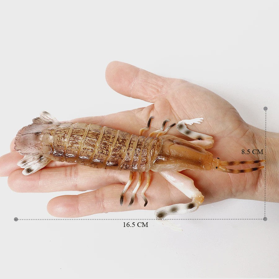 Educatieve Prehistorische Zeedieren Figuren Set: Baculite, Opabinia, Krab & Meer