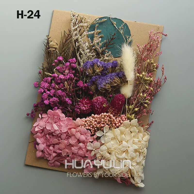 Set Gedroogde Bloemen & Hydrangea voor Ambacht & Decoratie
