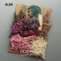 Set Gedroogde Bloemen & Hydrangea voor Ambacht & Decoratie