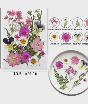 Set Gedroogde Bloemen & Bladeren (16-19 Stuks) - Natuurlijk & Realistisch