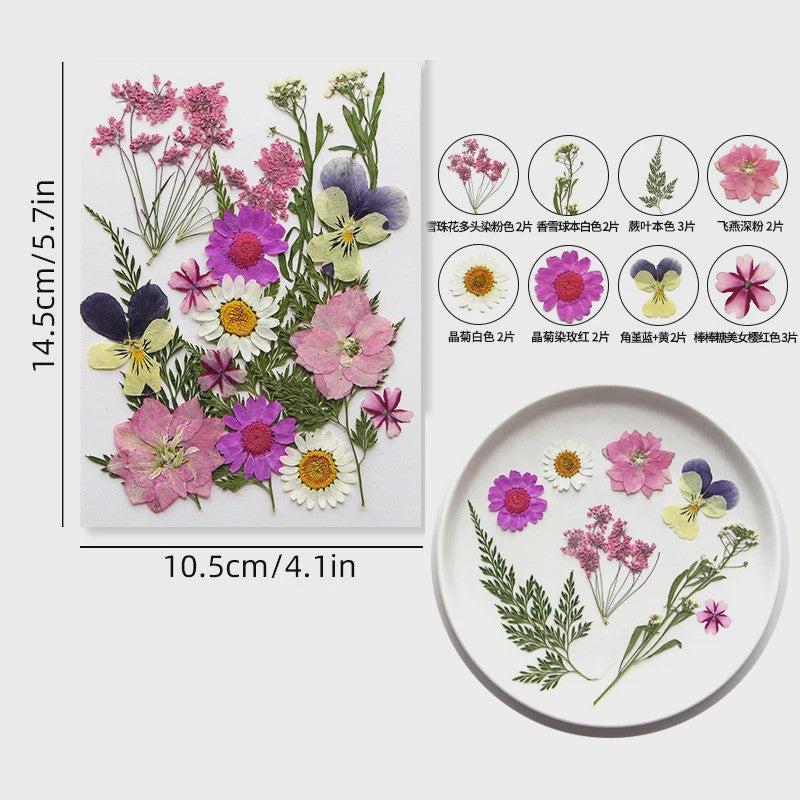 Set Gedroogde Bloemen & Bladeren (16-19 Stuks) - Natuurlijk & Realistisch