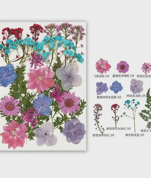 30 Stuks Gedroogde Persbloemen - Natuurlijke Bloemen & Bladeren voor Resin Art, Knutselen en Decoratie