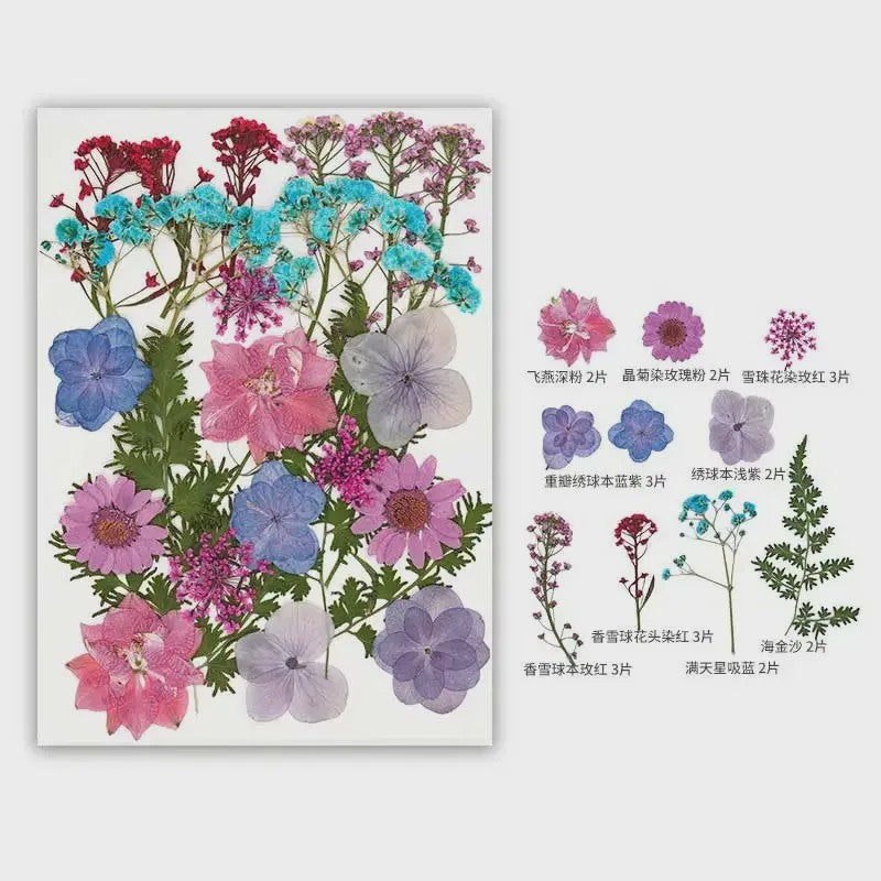30 Stuks Gedroogde Persbloemen - Natuurlijke Bloemen & Bladeren voor Resin Art, Knutselen en Decoratie