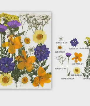30 Stuks Gedroogde Persbloemen - Natuurlijke Bloemen & Bladeren voor Resin Art, Knutselen en Decoratie