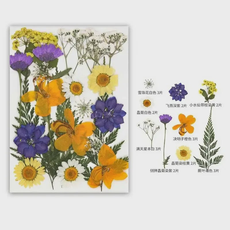 30 Stuks Gedroogde Persbloemen - Natuurlijke Bloemen & Bladeren voor Resin Art, Knutselen en Decoratie