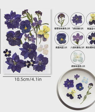 Set Gedroogde Bloemen & Bladeren (16-19 Stuks) - Natuurlijk & Realistisch