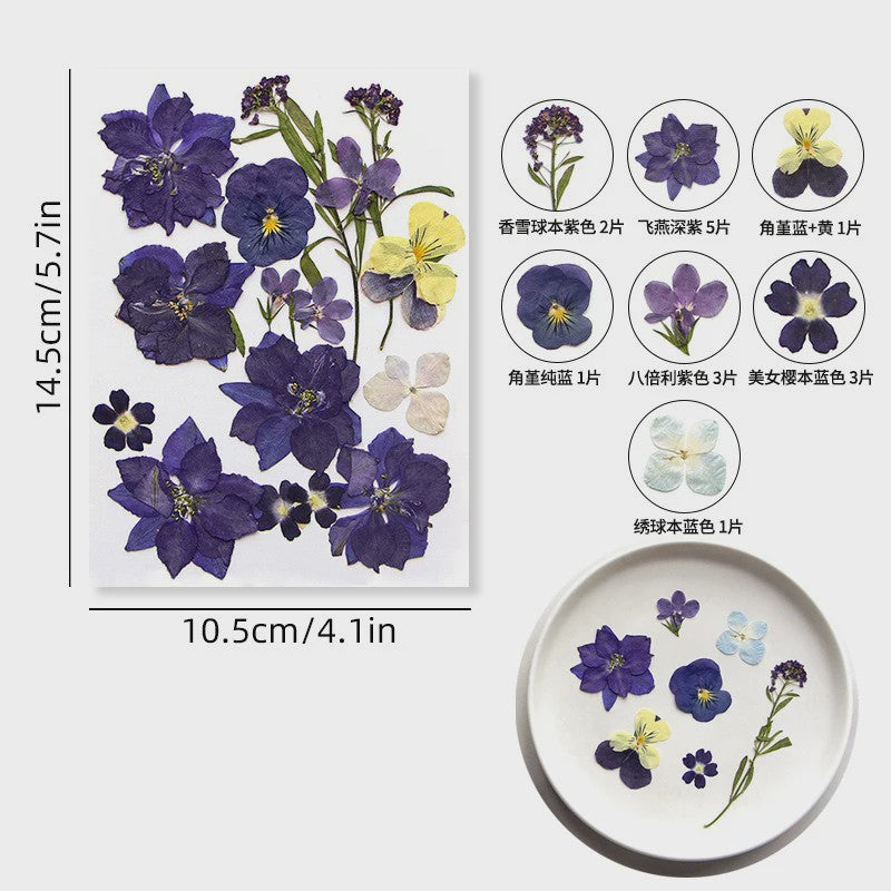 Set Gedroogde Bloemen & Bladeren (16-19 Stuks) - Natuurlijk & Realistisch