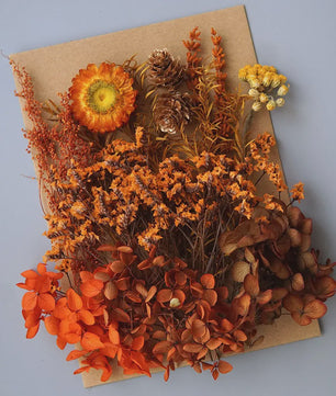 Set Gedroogde Bloemen & Hydrangea voor Ambacht & Decoratie