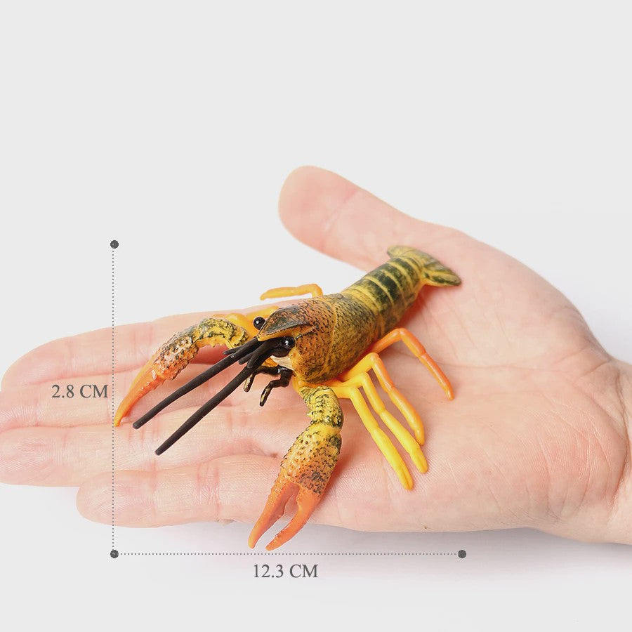 Educatieve Prehistorische Zeedieren Figuren Set: Baculite, Opabinia, Krab & Meer