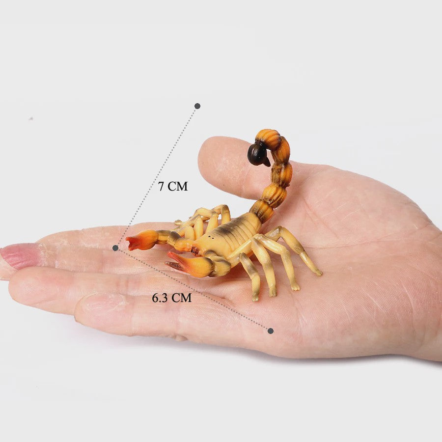 Realistische Insecten & Slakken Modellen - Educatief Speelgoed, Verzamelen & Decoratie