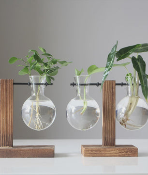 Glazen Vaas met Houten Standaard - Hydroponische Plantenbak voor Bureau & Tafel