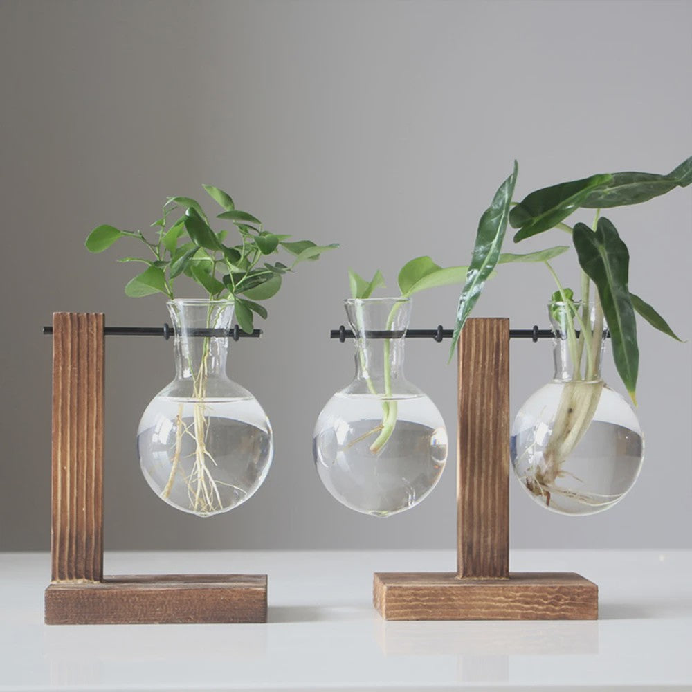 Glazen Vaas met Houten Standaard - Hydroponische Plantenbak voor Bureau & Tafel