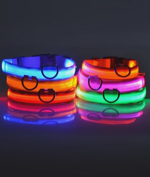 LED Hondenhalsband - Oplaadbaar en Verstelbaar voor Maximale Zichtbaarheid in het Donker