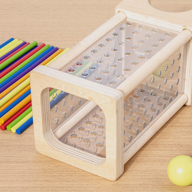 Montessori Houten Stokken Spel - Interactief Ouder-Kind Spel voor Fijne Motoriek en Kleurherkenning