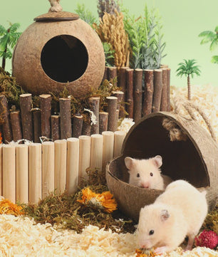 Natuurlijk Kokosnoot Hamsterhuis - Veilige & Bite-resistant Schuilplaats en Speelgoed voor Kleine Huisdieren