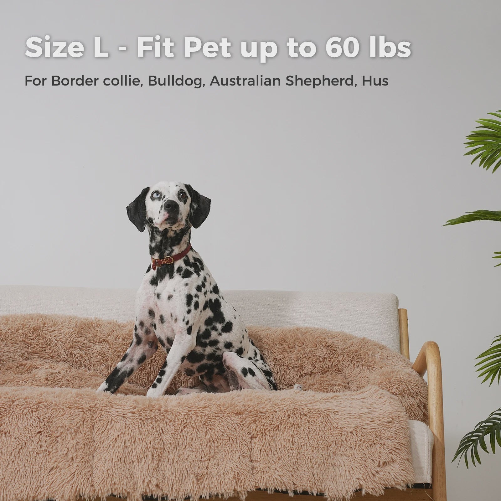 Luxe Fluffy Hondenkussen - Extra Zacht & Wasbaar Hondensofa voor Winterse Warmte