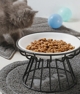 Keramische Verhoogde Voerbak & Waterbak op Standaard voor Katten en Honden