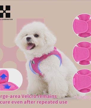Verstelbaar Hondentuig met Lijn - Reflecterend & Ademend - Voor Kleine tot Middelgrote Honden & Puppy's