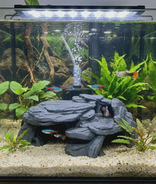 Realistische Rots Grot Decoratie voor Aquarium & Terrarium - Veilige Schuilplaats voor Vissen en Reptielen