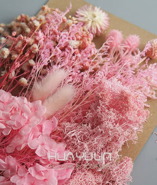 Set Gedroogde Bloemen & Hydrangea voor Ambacht & Decoratie