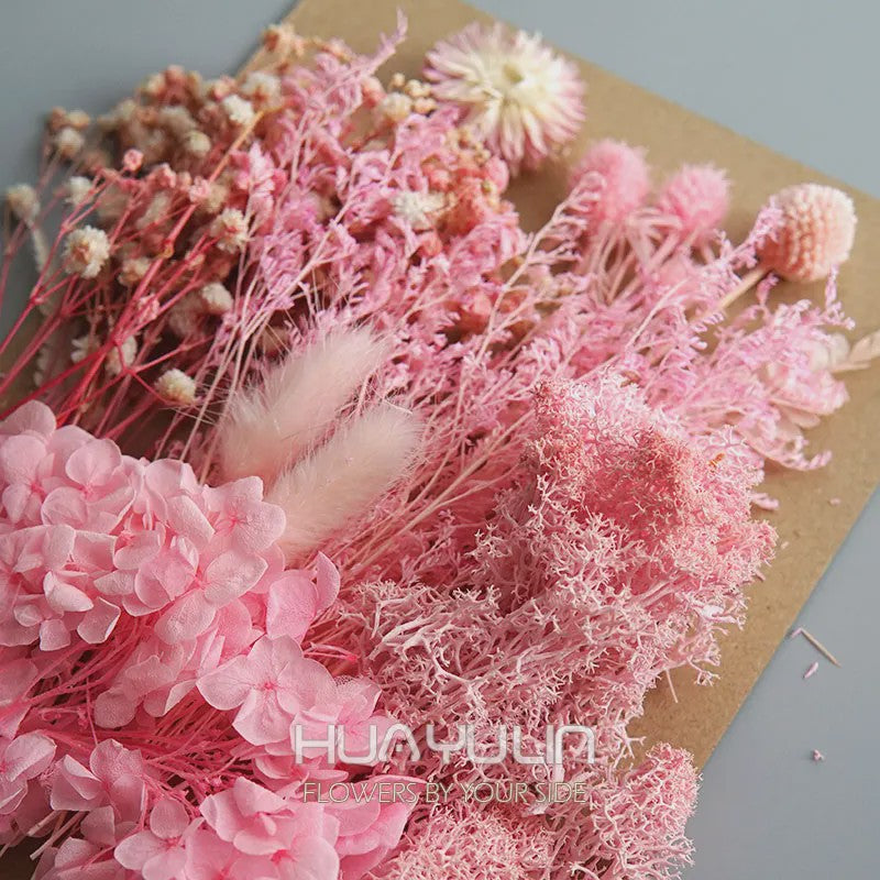 Set Gedroogde Bloemen & Hydrangea voor Ambacht & Decoratie