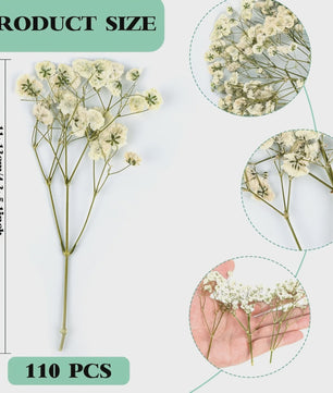 110 Stuks Gedroogde Baby's Breath (Gypsophila) - Boho Decoratie & Knutselmateriaal