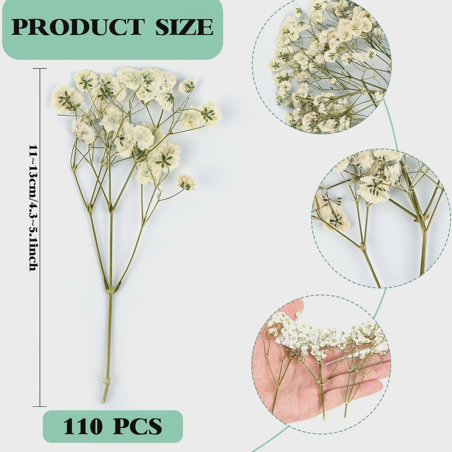 110 Stuks Gedroogde Baby's Breath (Gypsophila) - Boho Decoratie & Knutselmateriaal