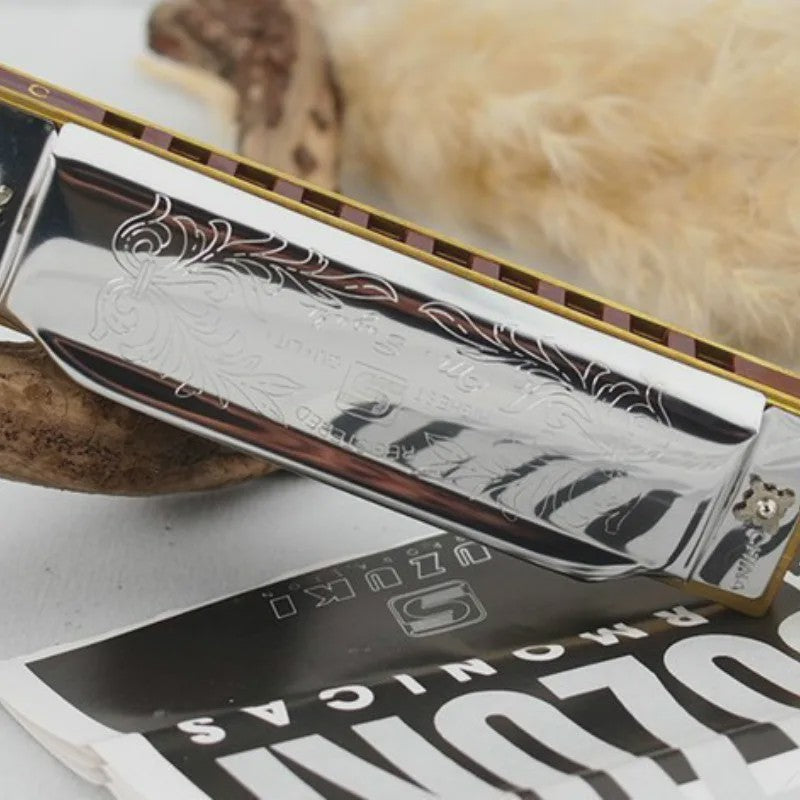 Professionele 10-Gats C-Toon Diatonische Mondharmonica - Zilverkleurig, Inclusief Luxe Koffer