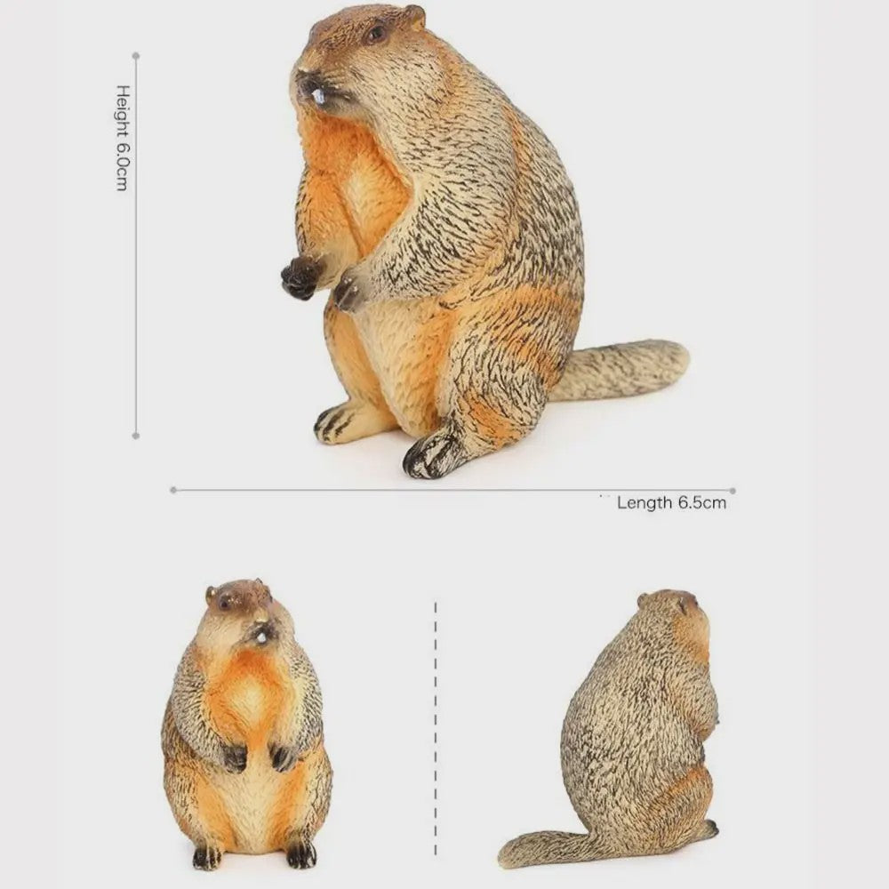 Realistische Marmot Beeldjes - PVC Sierfiguren voor Huisdecoratie