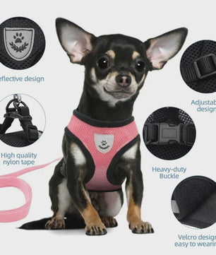 Verstelbaar Katten Tuigje met Lijn - Ademend Mesh Vest voor Kleine Honden & Katten